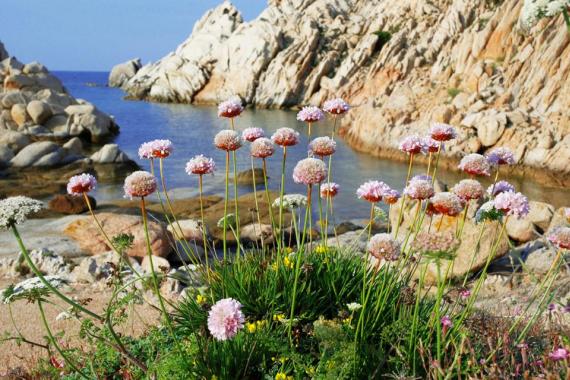 Прогулки по живописным островам: архипелаг Маддалена на Сардинии Фото и описание