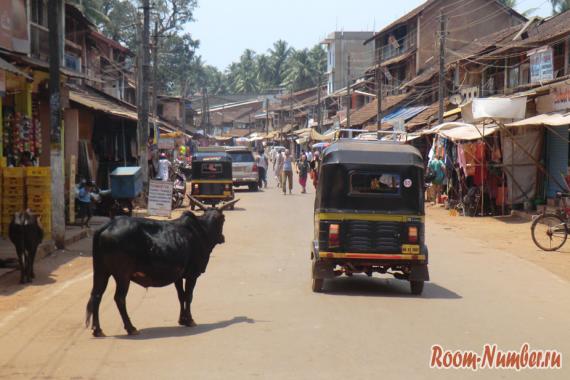 Гоа гокарна расстояние. Гокарна, Индия. Город коров, жрецов и божественных пенисов. Отдых для души и тела